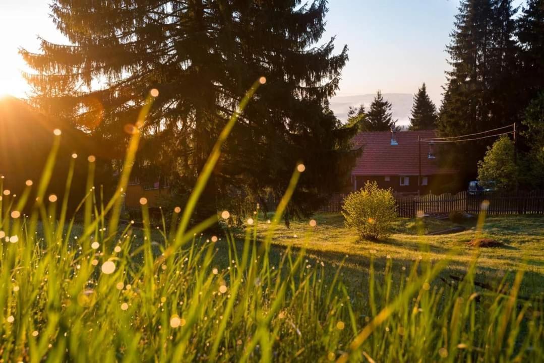 Willa Piricske Pihenohaz Ciceu Zewnętrze zdjęcie